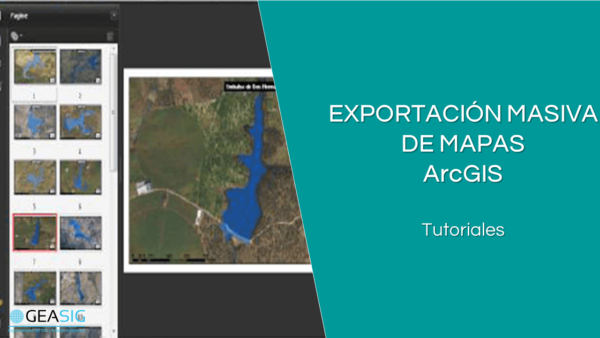 Truco ArcGIS: Exportación Masiva de Mapas con Data Driven Pages – GEASIG